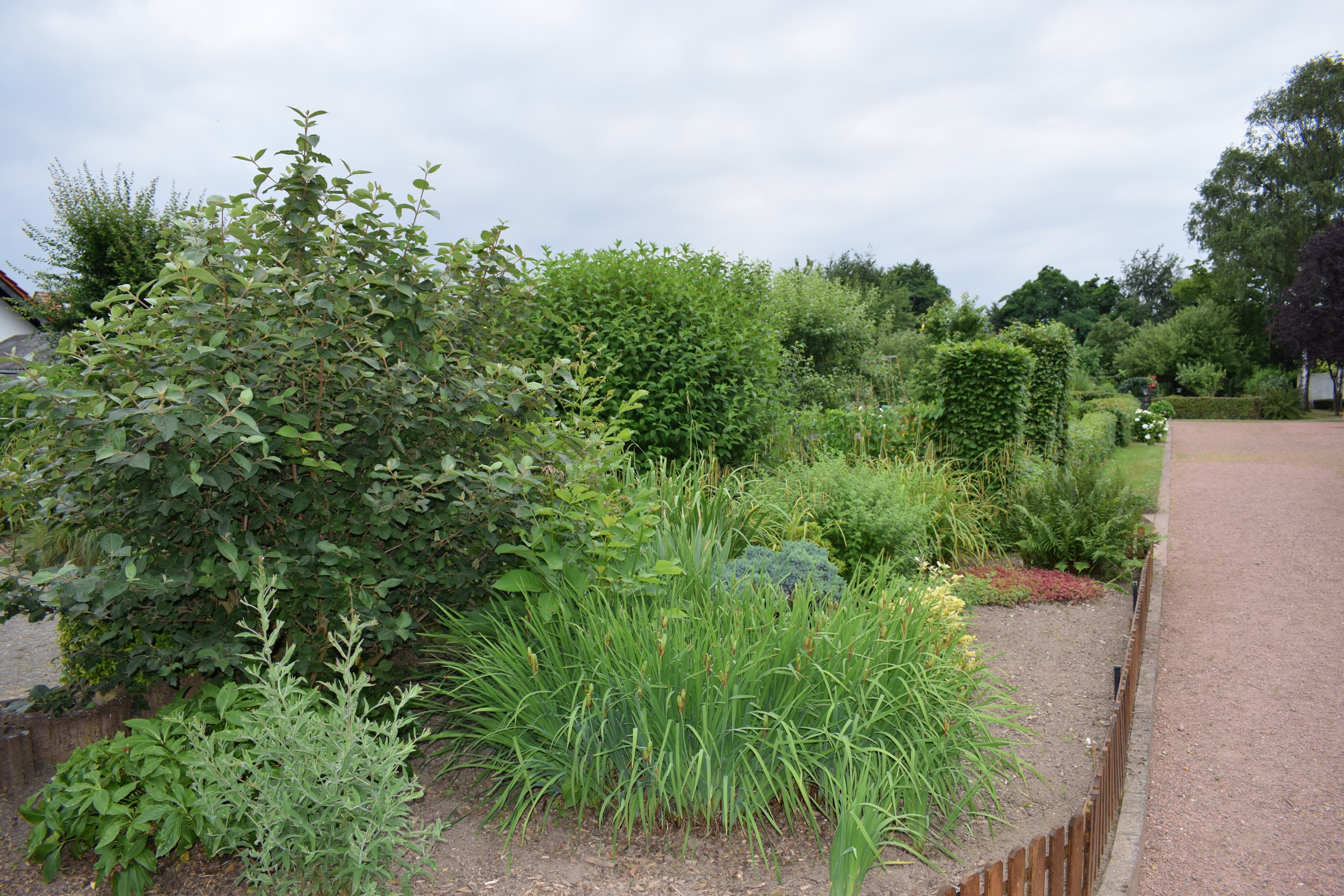 Einfriedung am Vereinshaus 2019